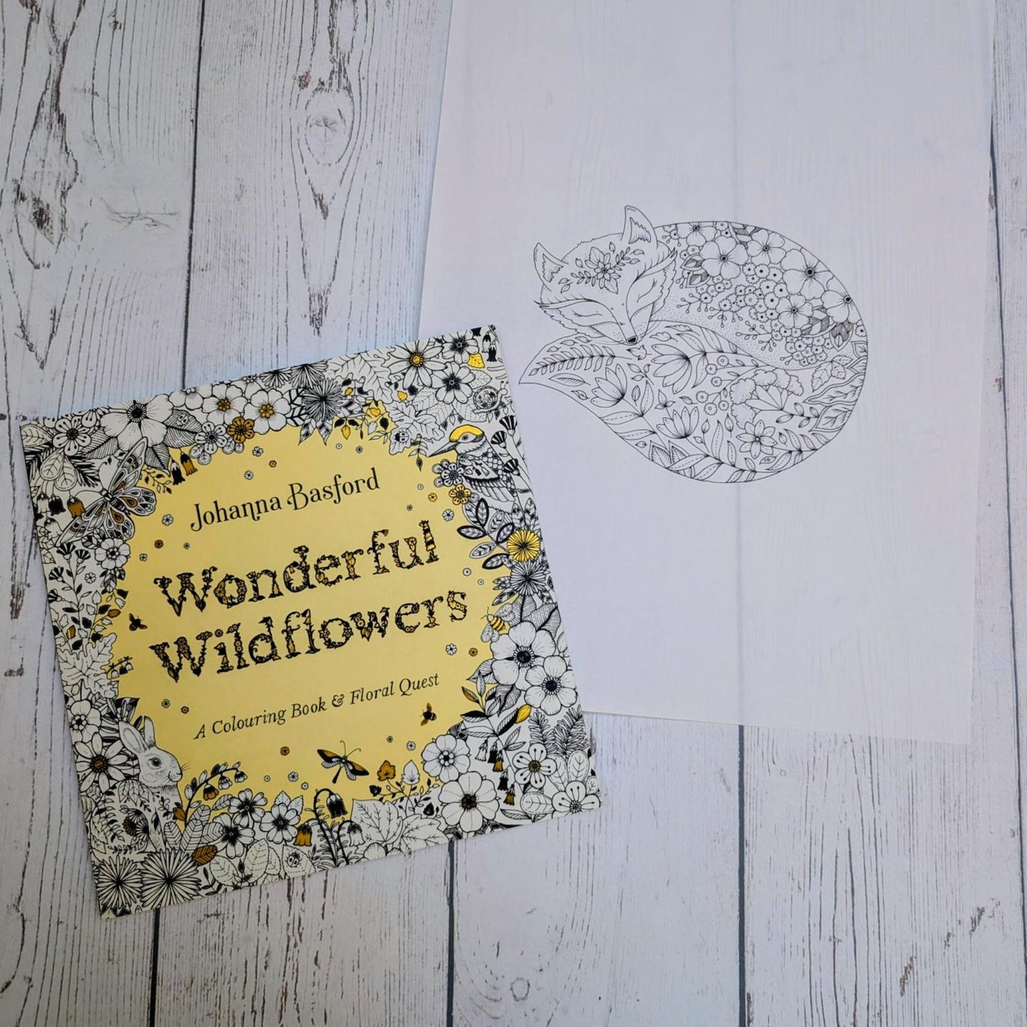 Flowerfox illustration – Johanna Basford