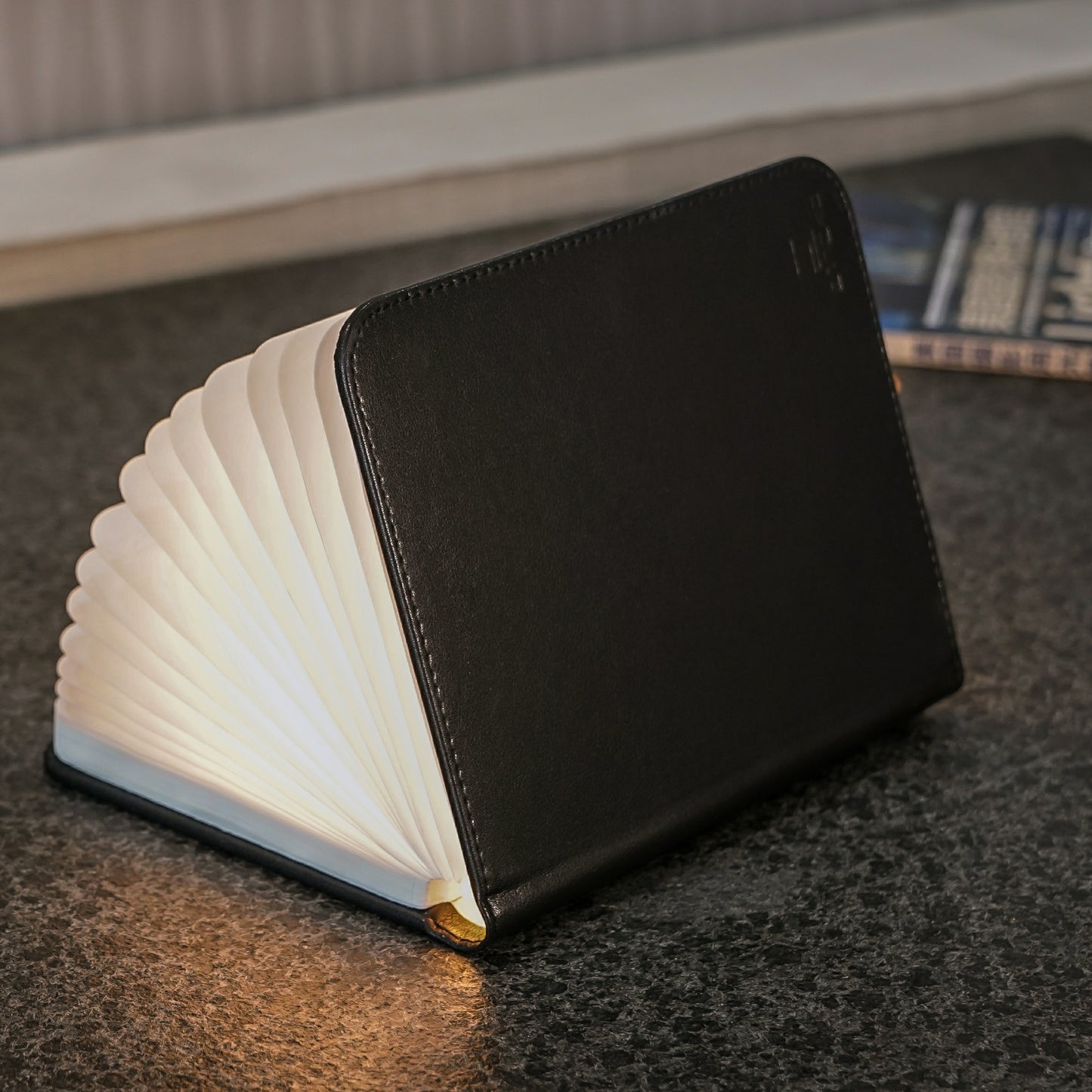 Black Leather Mini Smart Book Light