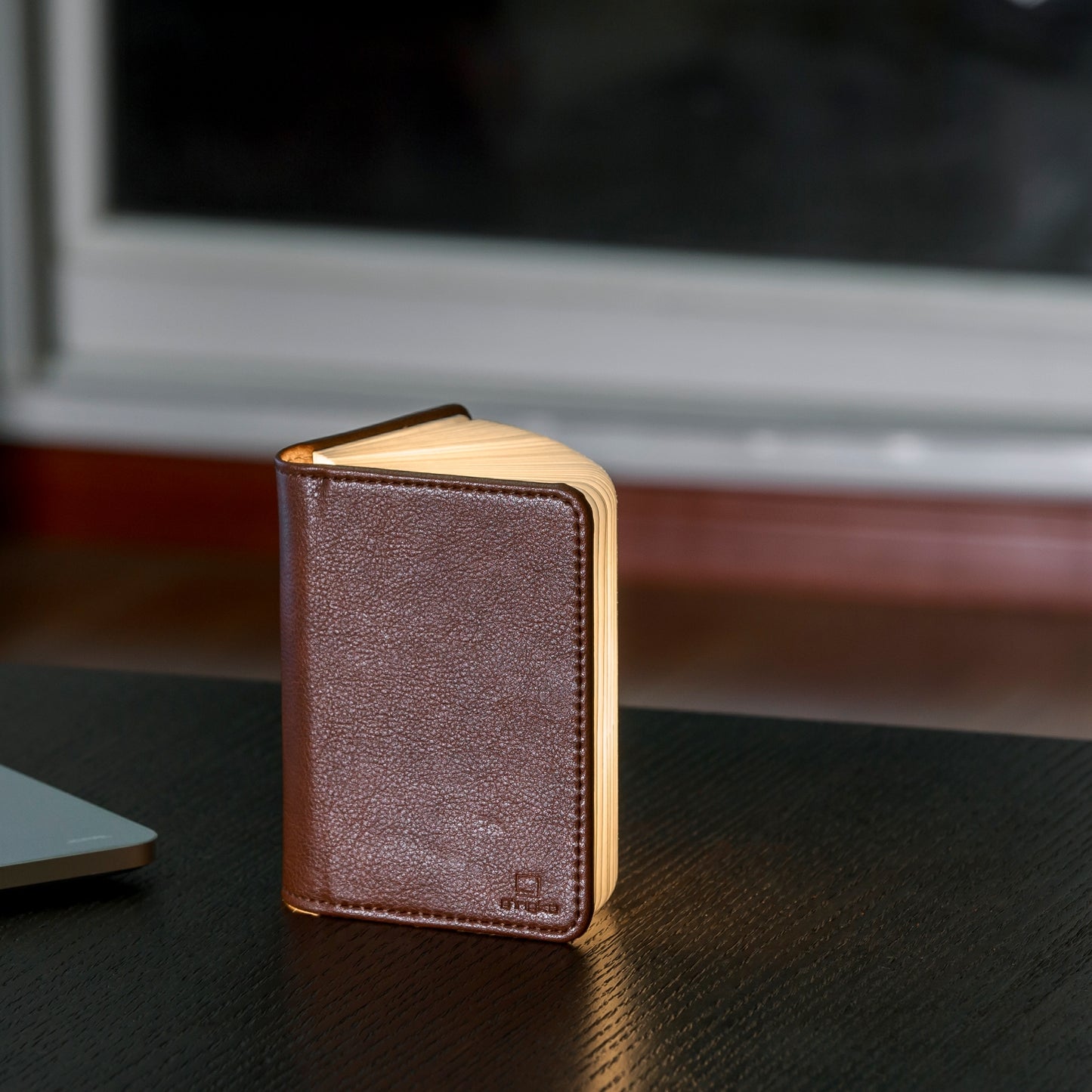 Brown Leather Mini Smart Book Light