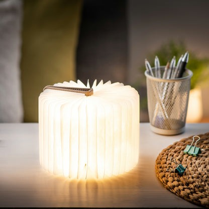 Brown Leather Mini Smart Book Light