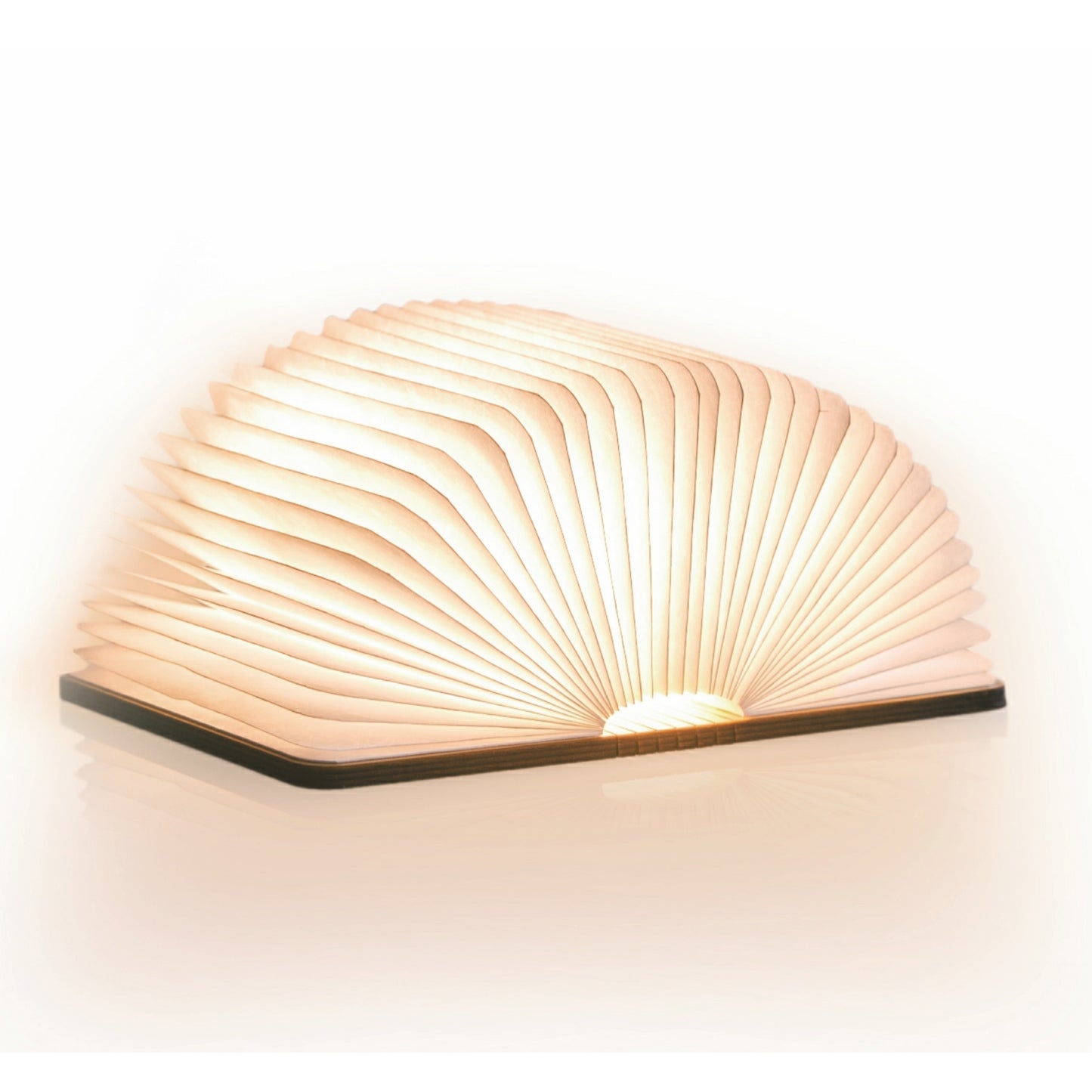 Maple Mini Smart Book Light