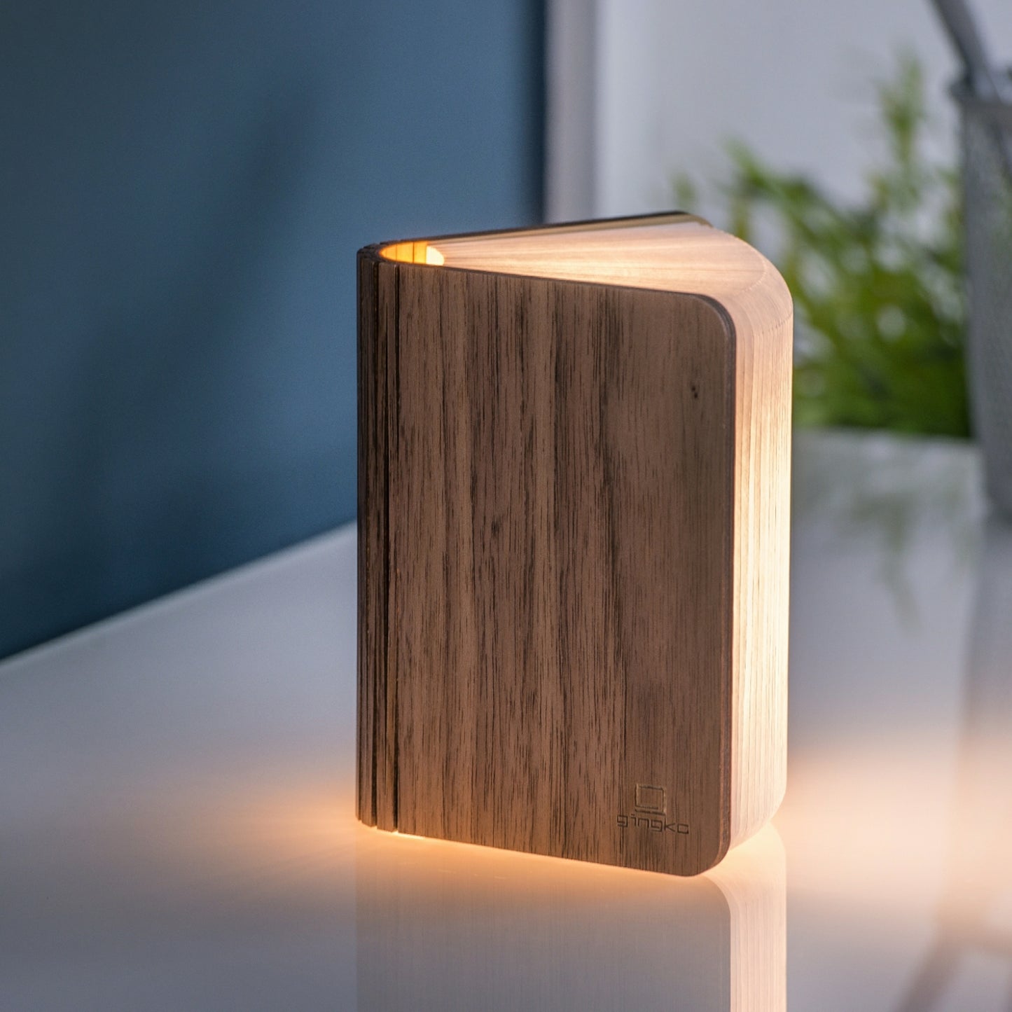 Walnut Mini Smart Book Light