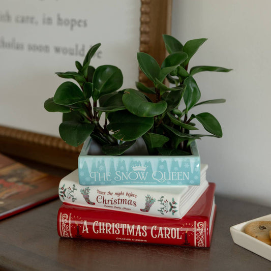 A Christmas Carol book planter